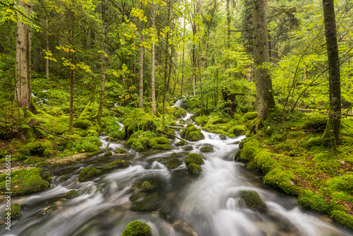 Zufluss der Orbe, Vallorbe, Waadt, Schweiz photo