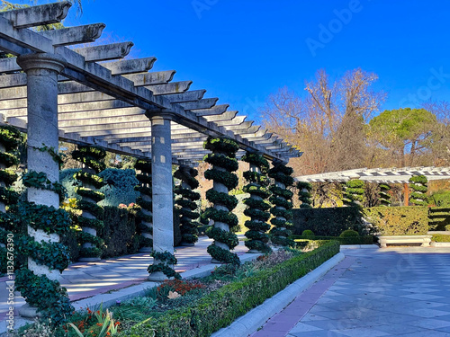 Plantas enredaderas y trepadoras en el Parque de El Retiro de Madrid en una fría mañana de diciembre con un inmenso y profundo cielo azul