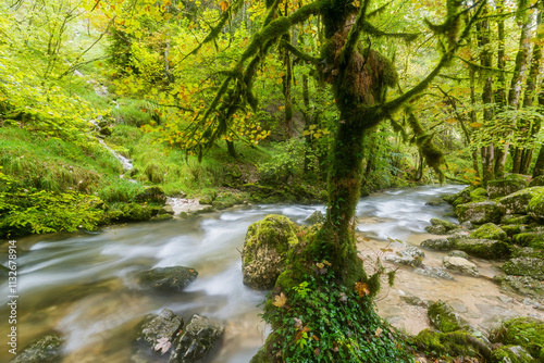 Fluss Hérisson, Menétrux-en-Joux, Jura, Frankreich photo