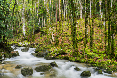 Fluss Hérisson, Menétrux-en-Joux, Jura, Frankreich photo