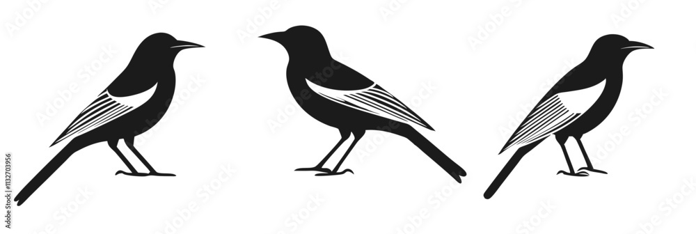 Fototapeta premium Stylized black birds with white wings, three different poses, minimalist design, vector art, vector illustration, isolated, flat