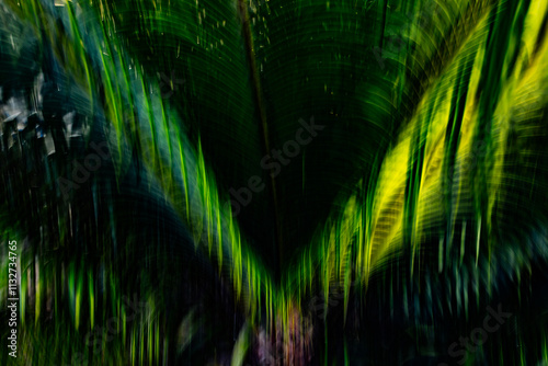 Long exposure abstract art. Photography with camera movement. Fuzzy lines of natural plants.