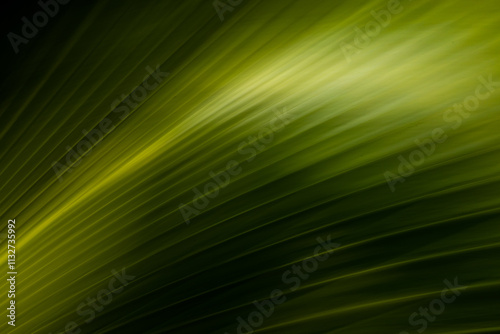 Long exposure abstract art. Photography with camera movement. Fuzzy lines of natural plants.