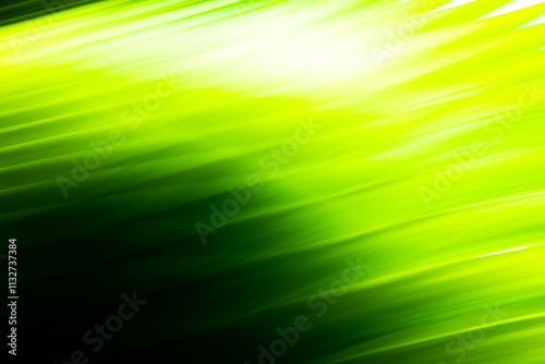 Long exposure abstract art. Photography with camera movement. Fuzzy lines of natural plants.