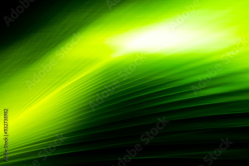 Long exposure abstract art. Photography with camera movement. Fuzzy lines of natural plants.
