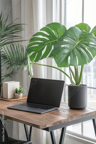 minimalist office setup featuring laptop, large plant, and wooden desk creates serene workspace