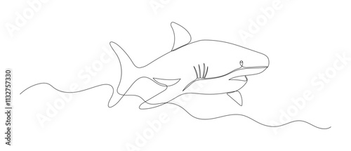 Shark one line sketch. Hand drawn doodle vector illustration isolated on white background. Sea animal drawing