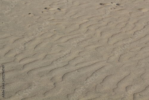 Image of Busan Dadaepo Beach sand transformed into beautiful shapes by the wind
 photo