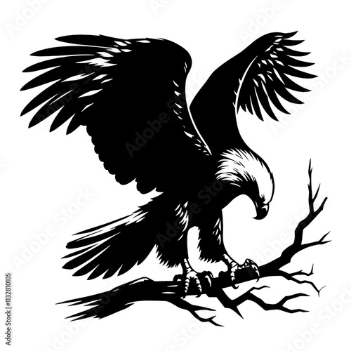 Black and white eagle illustration. photo