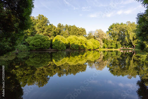 Summer day in the park, trees reflected in the surface of the pond, Naryshkinsky Pond, Fili, Moscow, Russia