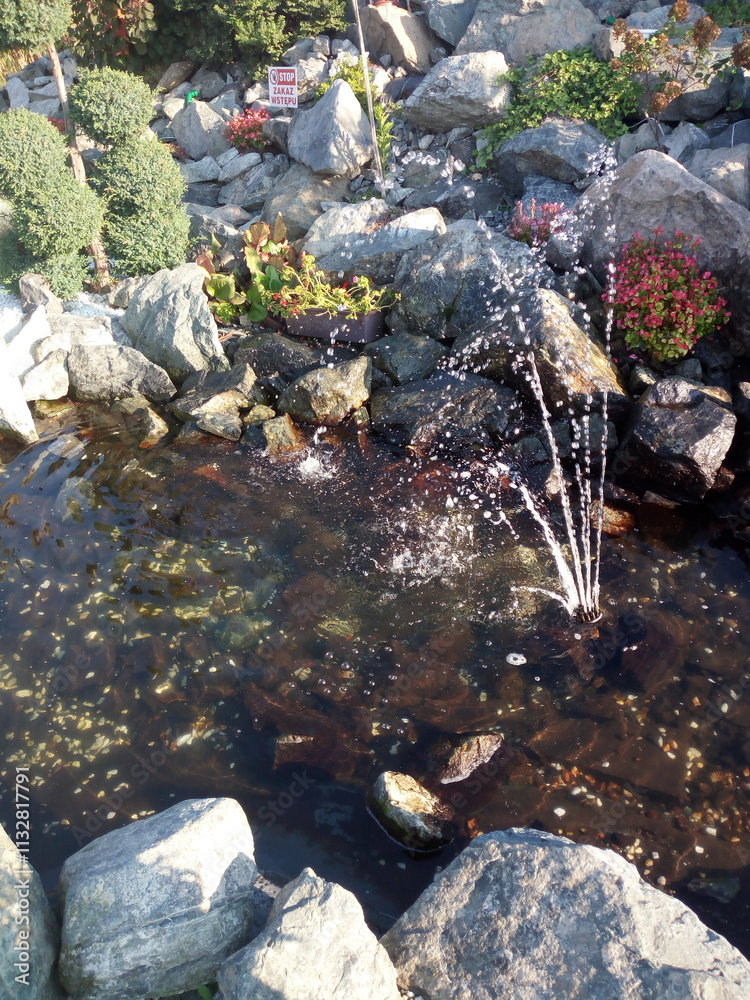 Fototapeta premium stream in the woods