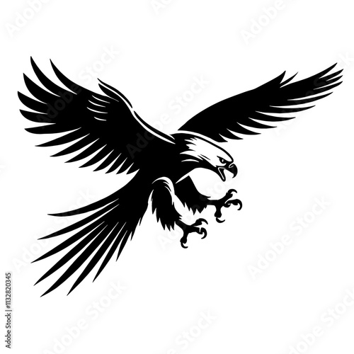 Black and white eagle in flight.
