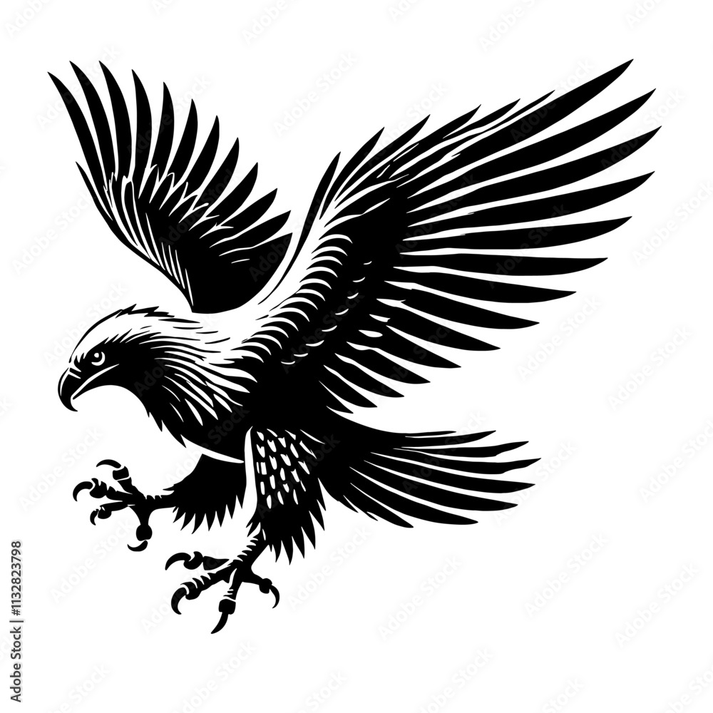 Fototapeta premium Black and white eagle in flight.