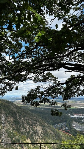 Scenic view framed by lush green tree branches, overlooking a forested valley, rocky cliffs, and a quaint town below under a partly cloudy sky photo