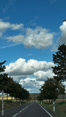 A tranquil countryside road stretches into the horizon, framed by rows of trees on either side. A bright blue sky with fluffy clouds enhances the serene atmosphere of the scene photo