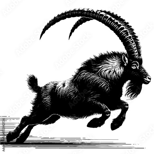 Goat Vector, bezoar ibex goat  vector