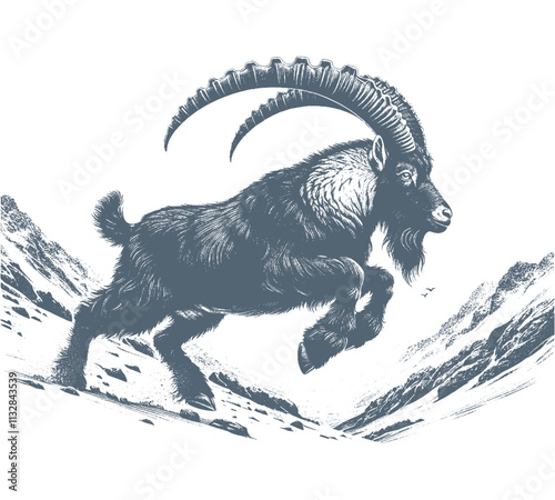 Goat Vector, bezoar ibex goat  vector