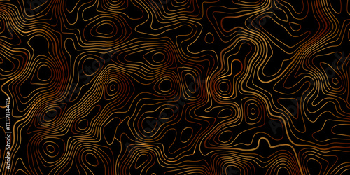 Multicolor wave and light trail background, Luxury gradient color topography wave lines isolated on black background, Beautiful Topo Wallpaper, Contour topographic map background vector illustration.	