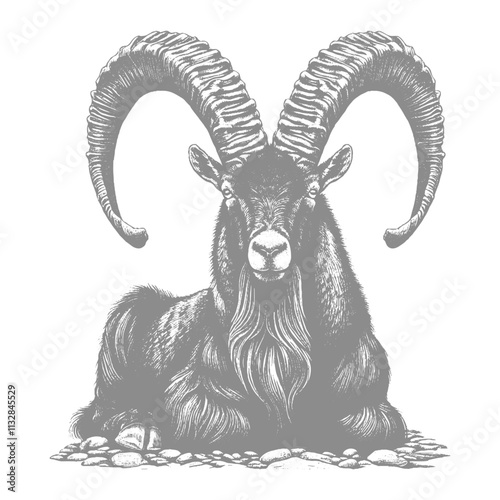 Goat Vector, bezoar ibex goat vector