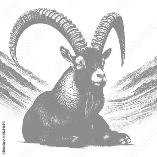 Goat Vector, bezoar ibex goat vector