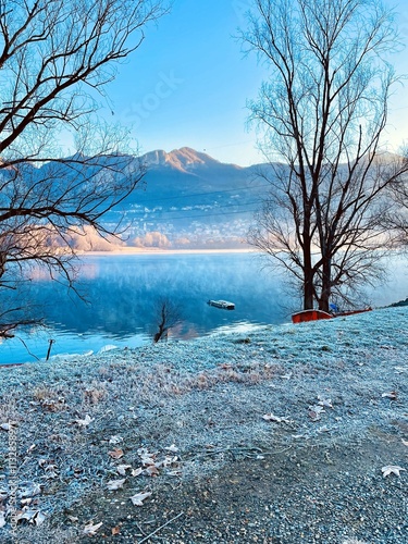 A serene winter landscape featuring a frost-covered lakeshore with scattered dry leaves. Bare trees with intricate branches frame the tranquil scene of still lake