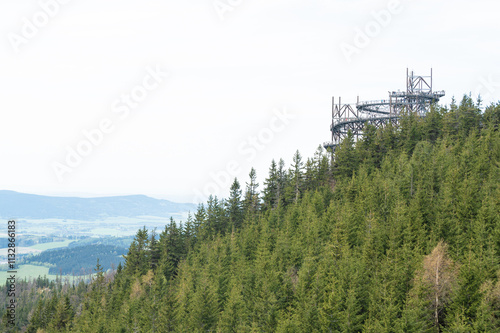 The Sky Walk, Stezka v oblacich. Wooden tower construction located in Jeseniky Mountains. Czech Republic
 photo