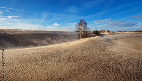 Sand scattered by the wind on a desolate, treeless land photo