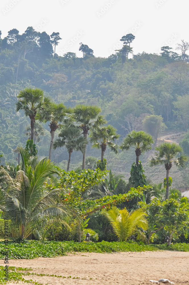 Fototapeta premium Beautiful nature with palm trees on the ocean shore in Thailand