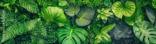 Lush Green Tropical Foliage Abundant Leaf Variety photo