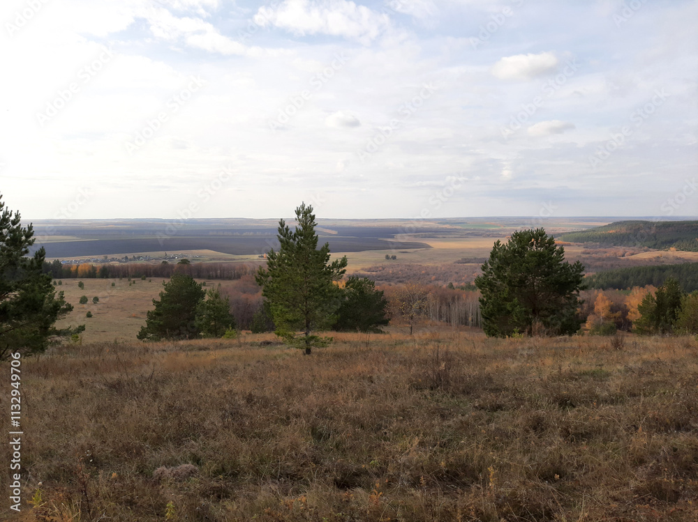 Obraz premium Forest Edge Overlooking Serene Fields