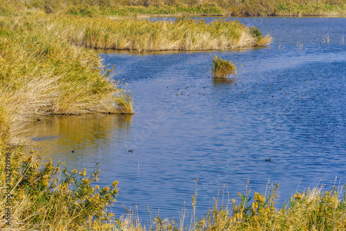 Obraz na płótnie Sodom Salt Marshes bird sanctuary w salonie