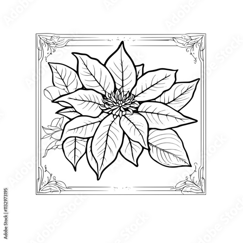 A line drawing of a poinsettia flower surrounded by a decorative frame. 