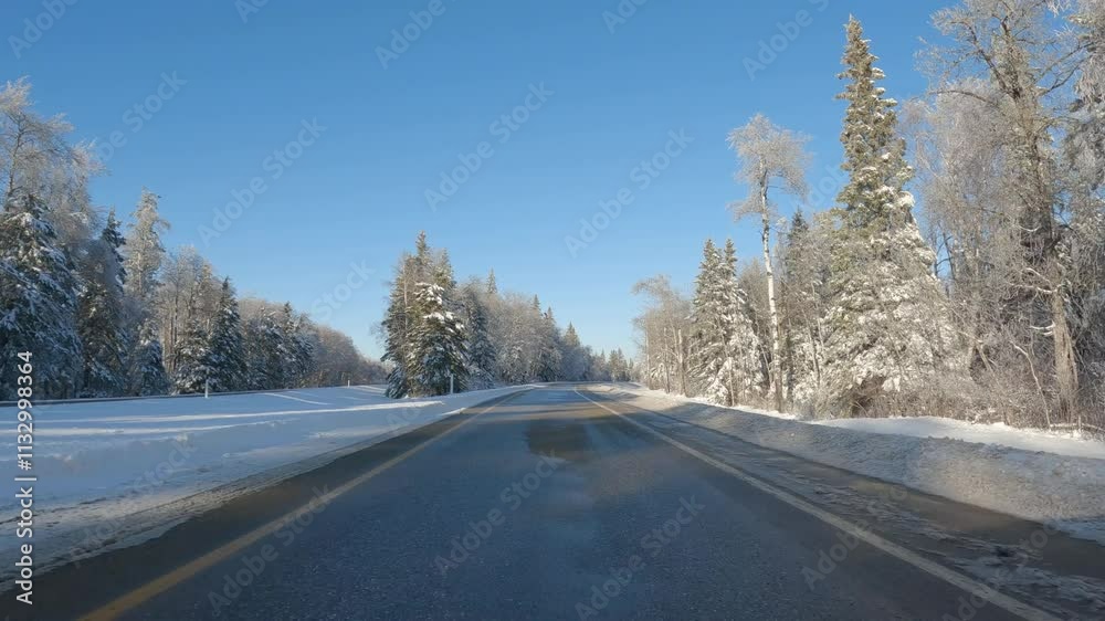 Driving along a slushy winter road through a park with snow covered evergreen trees under a clear blue sky
Driving along a slushy winter road through a park with snow covered evergreen trees under a clear blue sky