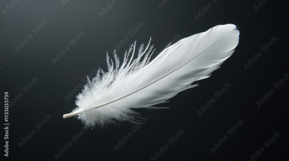 Obraz premium Single white feather floating on dark background.