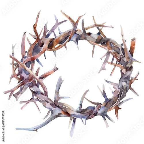 A watercolor of crown of thorns flowers, isolated on a white background. Crown of Thorns vector. photo