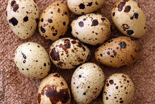 Few amount of quail eggs in small pile on brown towel background