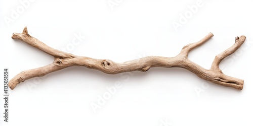 Unique wooden branch with intricate textures and natural design on a white background.