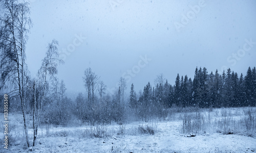 Beginnender Schneefall in einer Waldlandschaft in Schweden