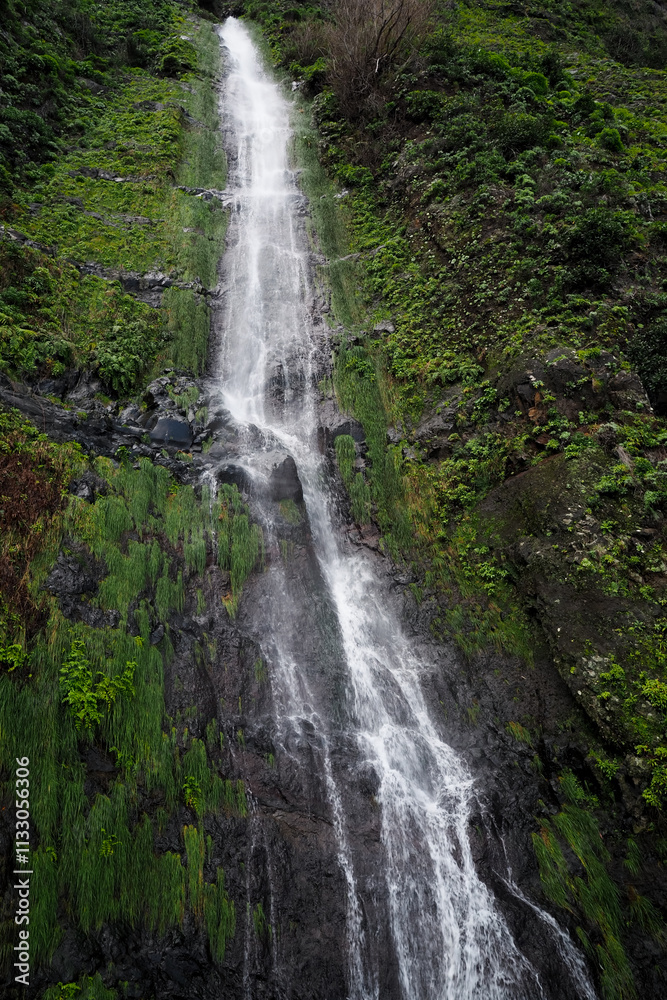 Fototapeta premium View of Madeira