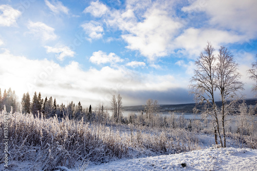 Neuschnee in einer Naturlandschaft in Schweden mit Blick auf See und blauem H...