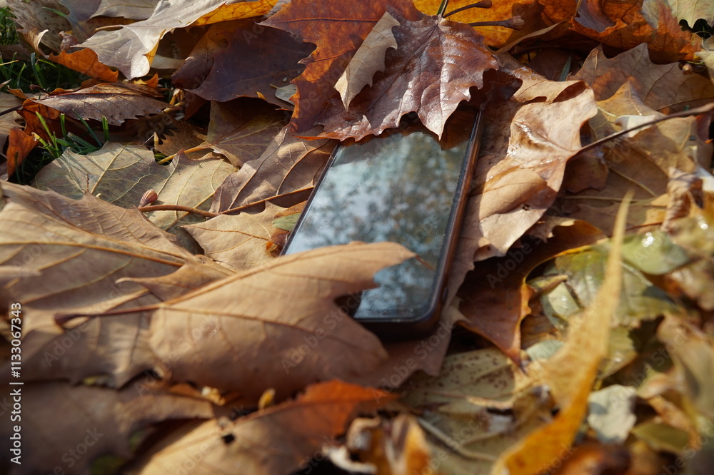 Fototapeta premium Mobile phone lying on the ground in a maple leaf