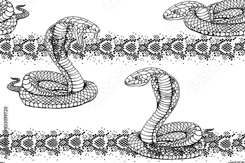 Snake and snake skin seamless pattern. Background with hand drawn serpent linear vector illustration.