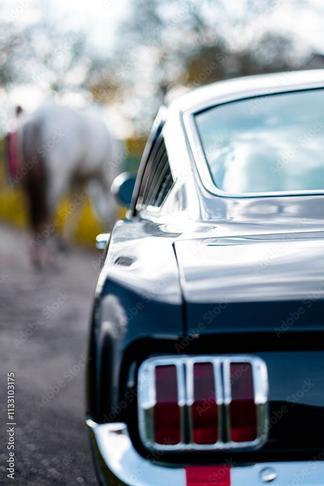 Obraz premium Close-Up of the Rear of a Blue Classic Car with a Blurred White Horse in the Background