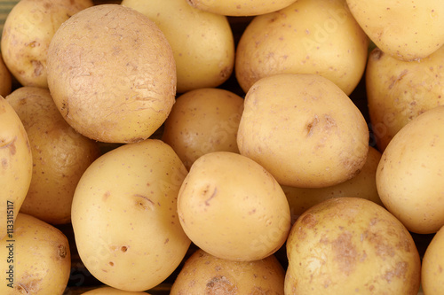 Full frame of washed unpeeled baby potato tubers as background.