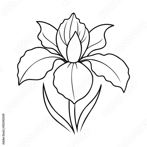 Simple black and white line art of an iris flower with detailed petals, leaves, and a central bud