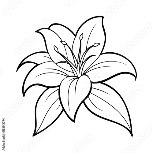 Black and white outline of a lily flower with detailed petals and stamens