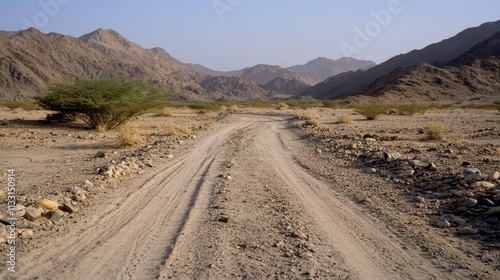 A dusty road winds through a rugged desert landscape, flanked by distant mountains and sparse vegetation, evoking solitude and adventure.