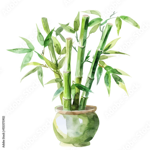 A watercolor illustration of lucky bamboo stalks, isolated on a white background. Lucky Bamboo vector.
