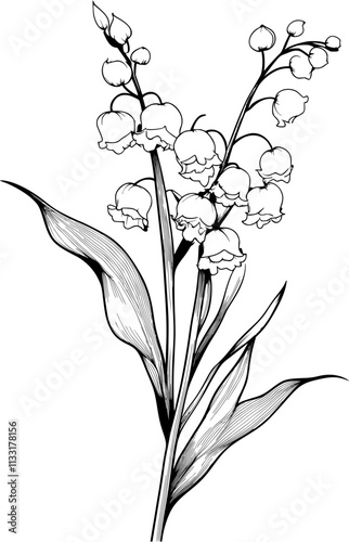 Lily of the Valley Vector, Lily of the Valley Outline, Floral Lily of the Valley Art, Lily of the Valley Sketch, Spring Lily Illustration, Botanical Lily of the Valley Design, Delicate Flower Vector