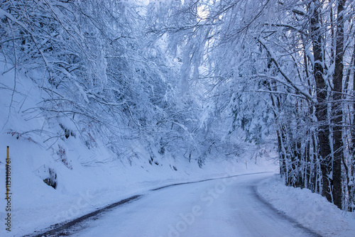 winter on mount cimone snow on the slopes and among the trees photo